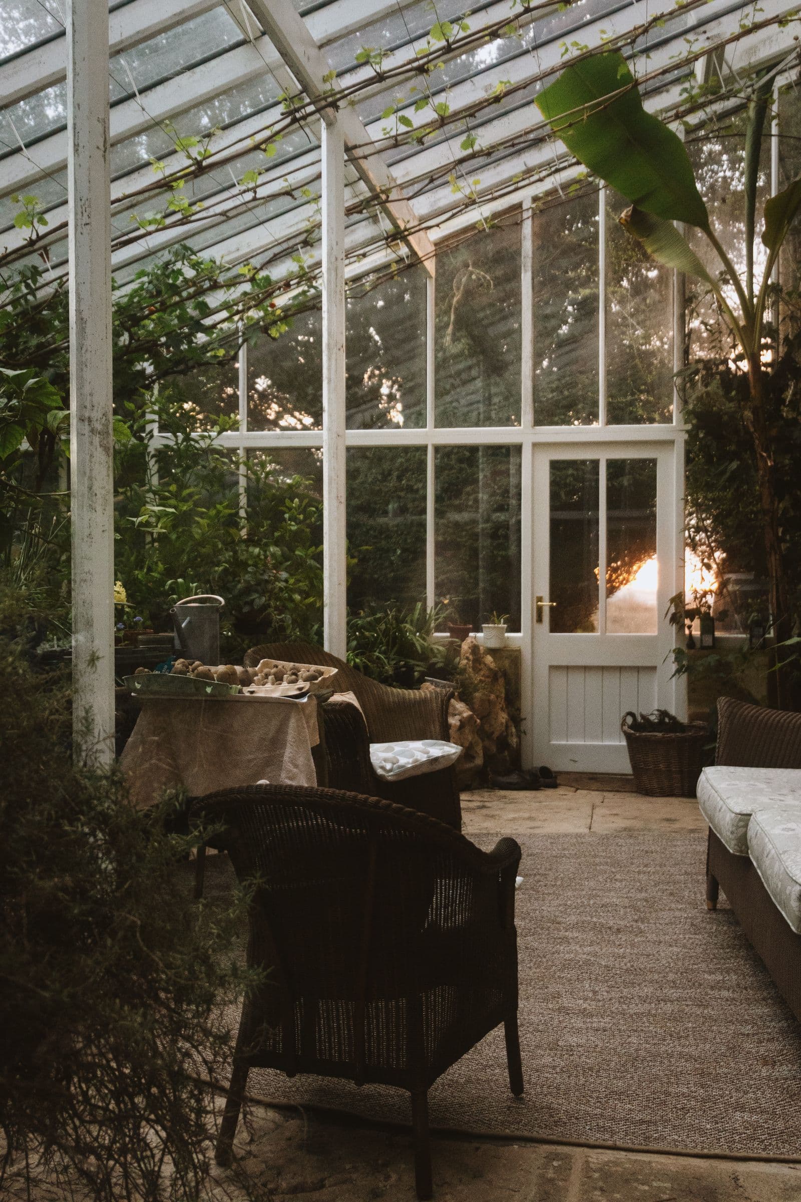 Conservatory Roof Cleaning