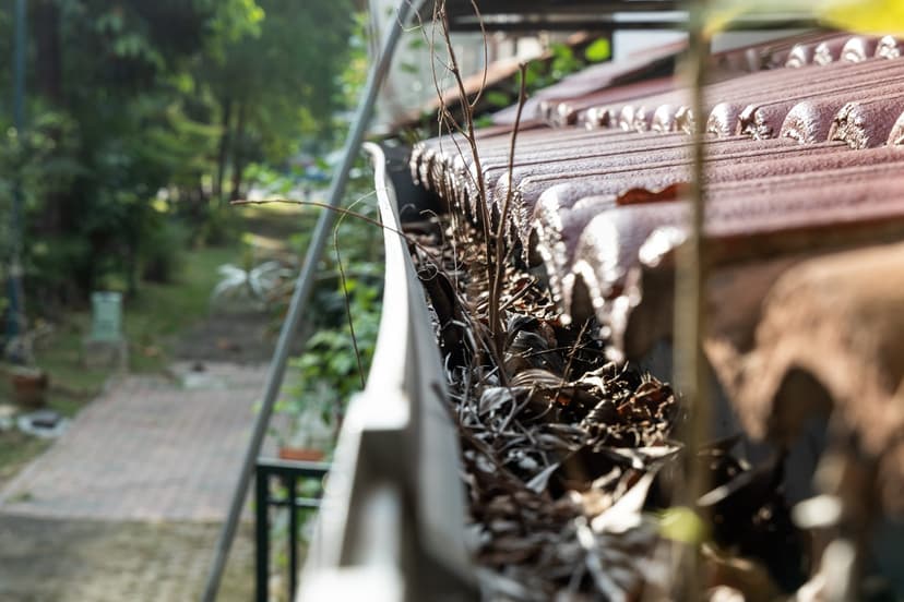 Gutter Cleaning — example 2