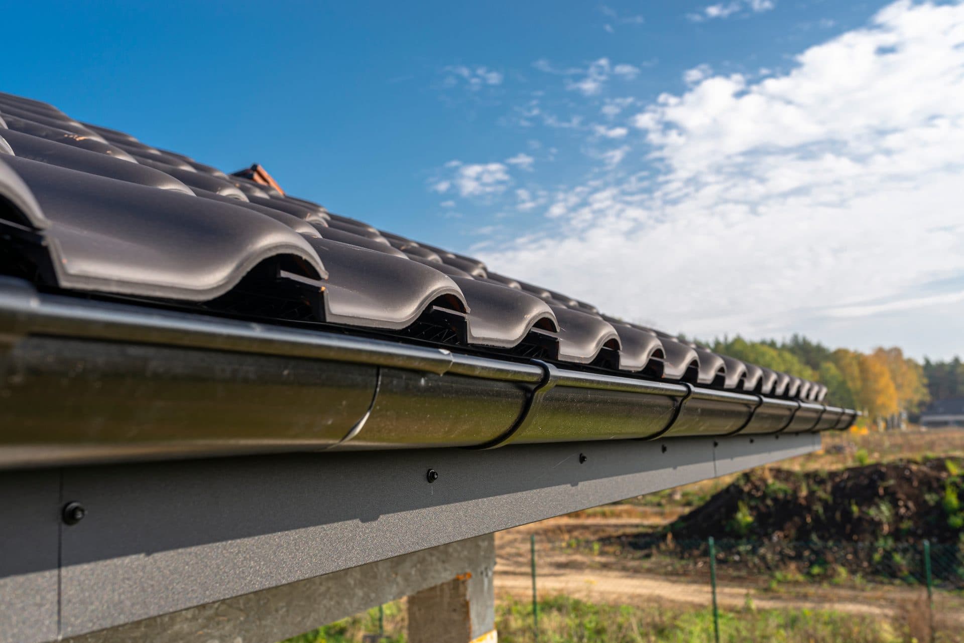 Gutter Cleaning